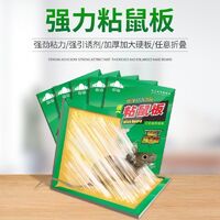 粘鼠板選購全攻略 從排行榜、價格到使用技巧，一篇搞定