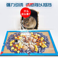 2025年度十款熱門粘鼠板產品榜 居家防鼠，值得入手的強力推薦