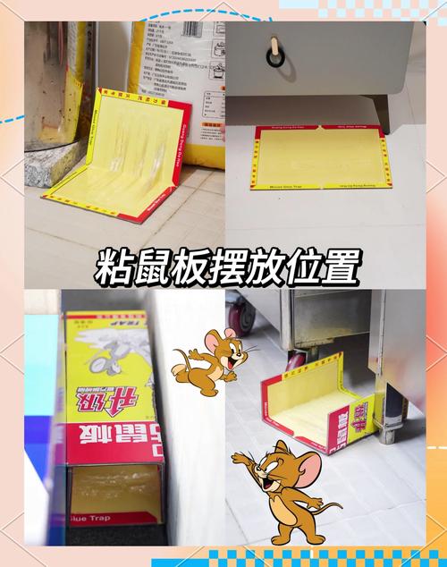 粘鼠板使用全攻略 選對位置與方法，輕松高效滅鼠