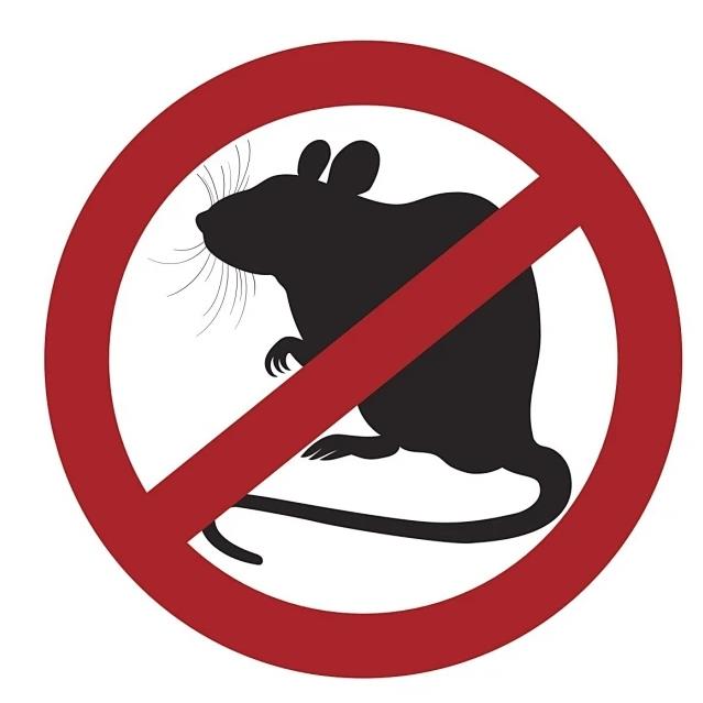 粘鼠板對孩子是否有潛在危險？